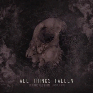 All Things Fallen : Introspection (Radio Edit)